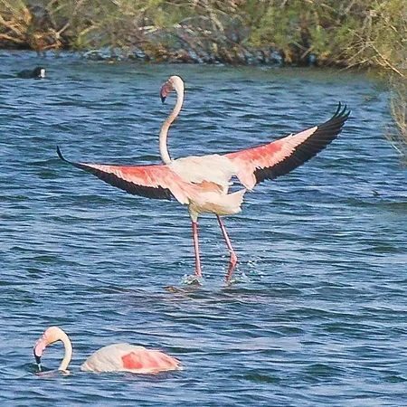 Rincon Del Salar Daire