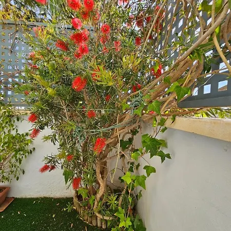Apartment Rincon Del Salar Playas de Vera